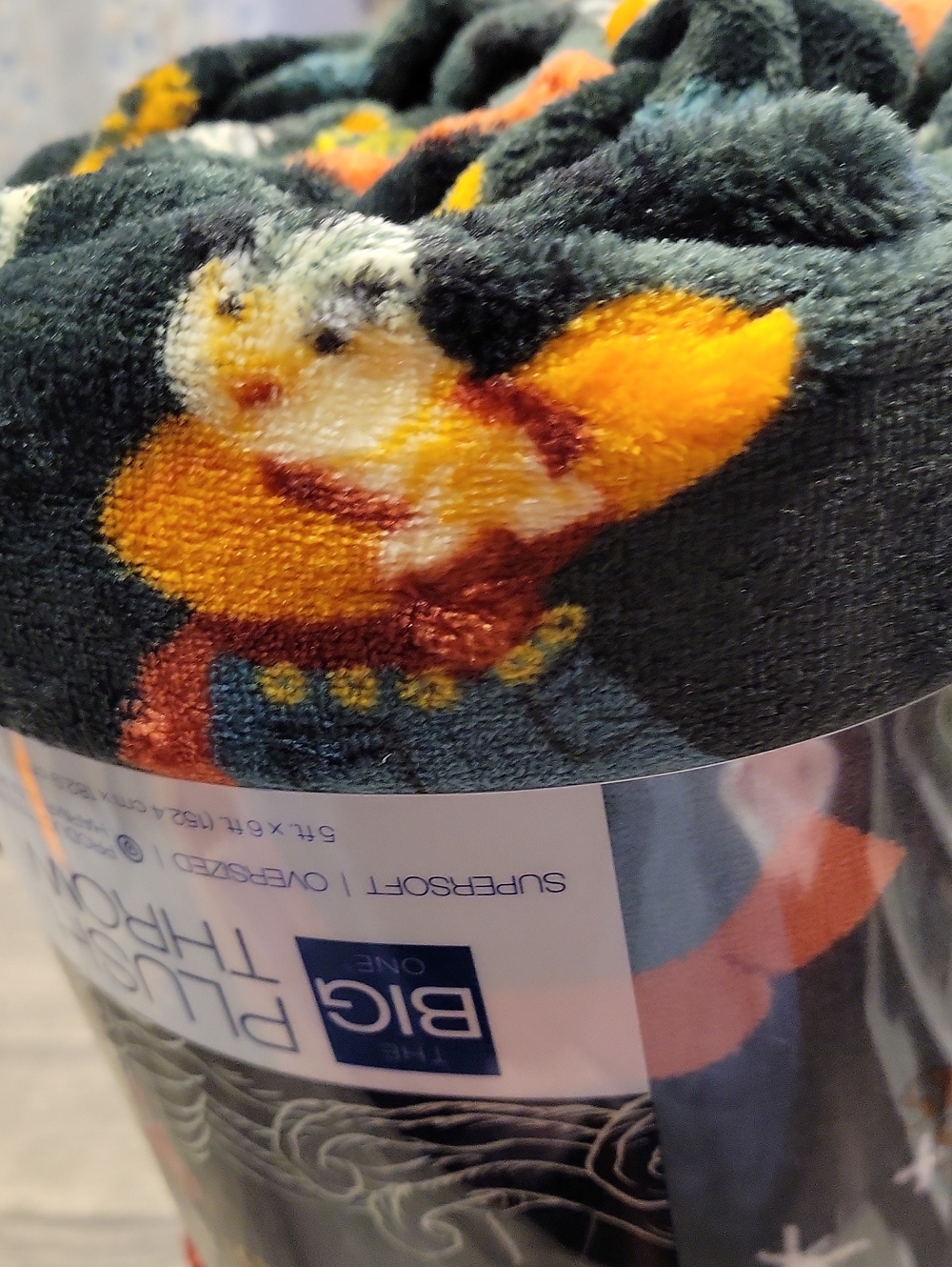 Hocus Pocus * Oversized Throw, NWT / RARE - Picture 7 of 8